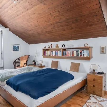 Charming Alpine With View 5min To Ost Apartamento